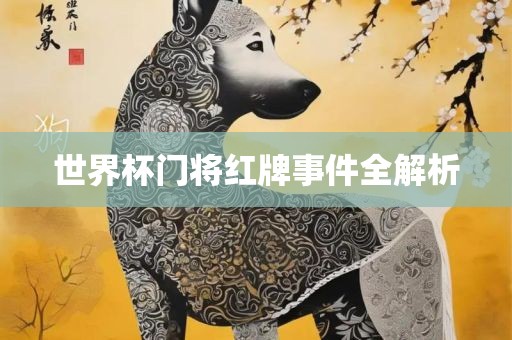 世界杯门将红牌事件全解析