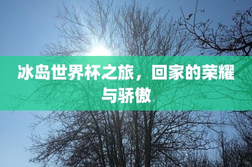 冰岛世界杯之旅，回家的荣耀与骄傲
