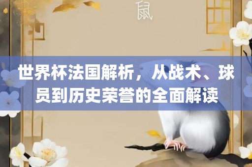 世界杯法国解析，从战术、球员到历史荣誉的全面解读