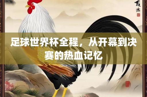 足球世界杯全程，从开幕到决赛的热血记忆