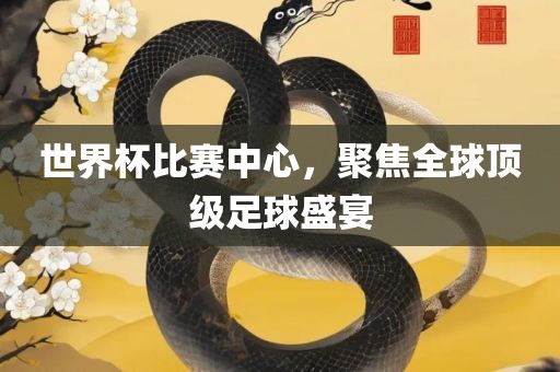 世界杯比赛中心，聚焦全球顶级足球盛宴广西贺州市华昌新材料有限公司