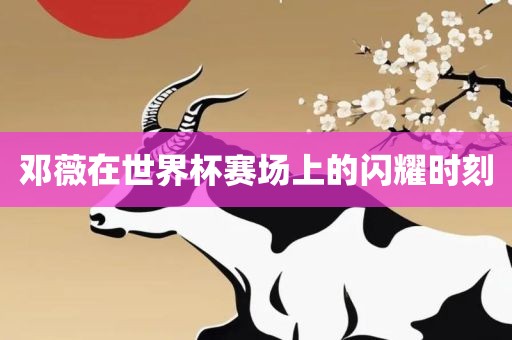 邓薇在世界杯赛场上的闪耀时广西贺州市华昌新材料有限公司刻