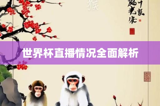 世界杯直播情况全面解析广西贺州市华昌新材料有限公司