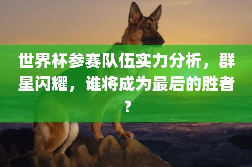 gongjiaming 第3页
