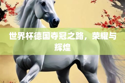 世界杯德国夺冠之路，荣耀与辉煌