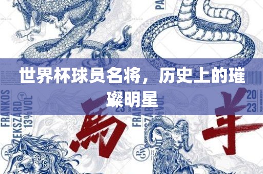 世界杯球员名将，历史上的璀璨明星广西贺州市华昌新材料有限公司