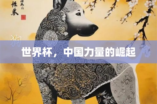 世界杯，中国力量的崛起广西贺州市华昌新材料有限公司