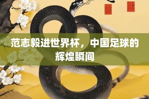 范志毅进世界杯，中国足球的辉煌瞬间广西贺州市华昌新材料有限公司