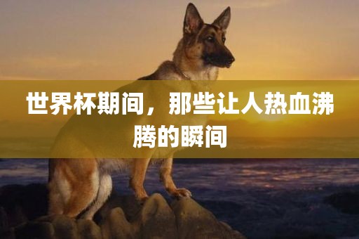 世界杯期间，那些让人热血沸腾的瞬间广西贺州市华昌新材料有限公司