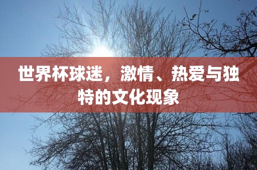 世界杯球迷，激情、热爱与独特的文化现象广西贺州市华昌新材料有限公司