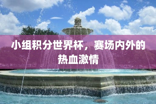 小组积分世界杯，赛场内外的热血激情