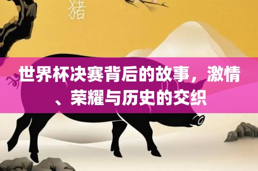世界杯决赛背后的故事，激情广西贺州市华昌新材料有限公司、荣耀与历史的交织