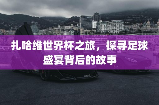足球盛宴背后的故事 第2页