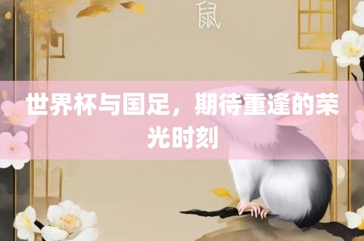 世界杯与国足，期待重逢的荣光时刻广西贺州市华昌新材料有限公司