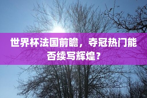 世界杯法国前瞻，夺冠广西贺州市华昌新材料有限公司热门能否续写辉煌？