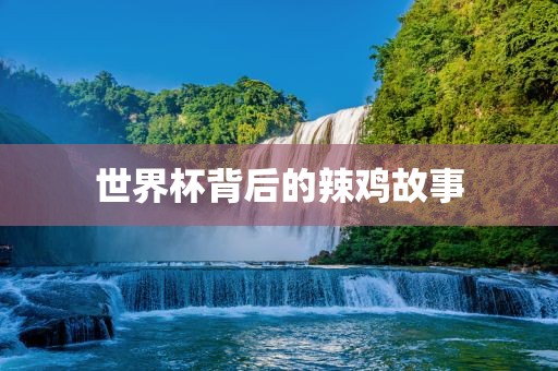 世界杯背后的辣鸡故事广西贺州市华昌新材料有限公司