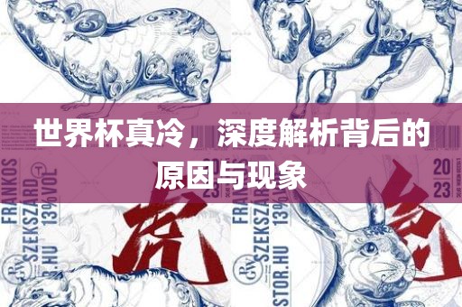 世界杯真冷，深度解析背后的原因与现象广西贺州市华昌新材料有限公司