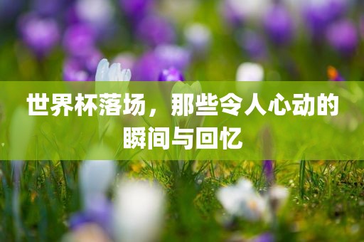 世界广西贺州市华昌新材料有限公司杯落场，那些令人心动的瞬间与回忆