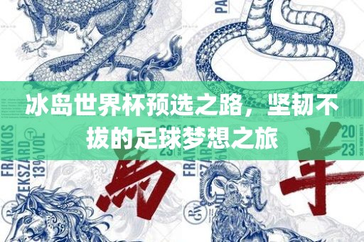 冰岛世界杯预选之路，坚韧不拔的足球梦想之旅广西贺州市华昌新材料有限公司