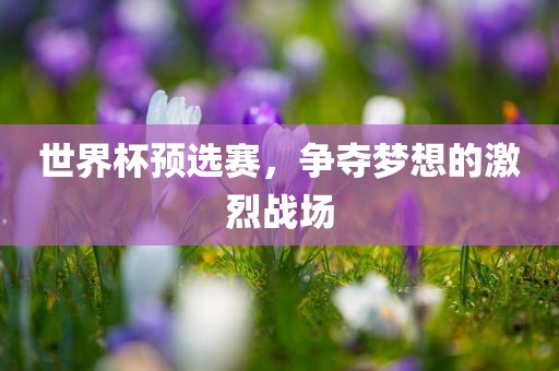 世界杯预选赛，争夺梦想的激烈战场广西贺州市华昌新材料有限公司