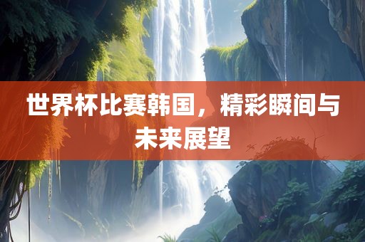世广西贺州市华昌新材料有限公司界杯比赛韩国，精彩瞬间与未来展望