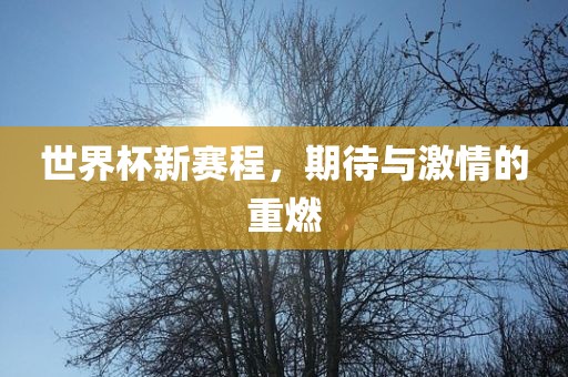 世界杯新赛程，期待与激情的重燃广西贺州市华昌新材料有限公司