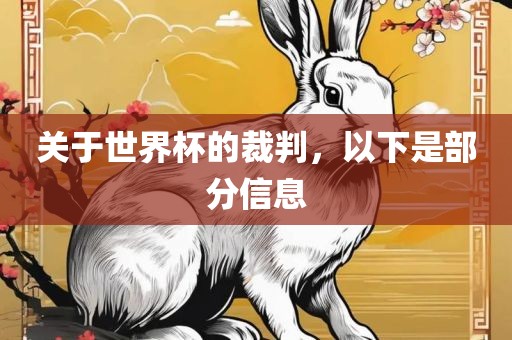 关于世界杯的裁判，以下是部分信息广西贺州市华昌新材料有限公司
