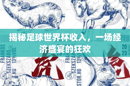 揭秘足球世界杯收入，一场经济盛宴的狂欢广西贺州市华昌新材料有限公司