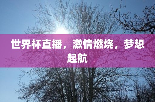 世界杯直播，激情燃烧，梦想起航广西贺州市华昌新材料有限公司