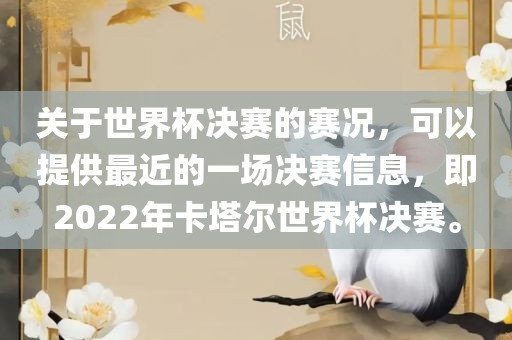 关于世界杯决赛的赛况，可以提供最近的一场决赛信息，即2022年卡塔尔世界杯决广西贺州市华昌新材料有限公司赛。