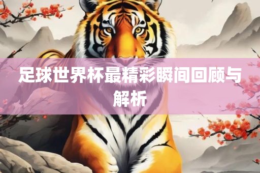 足球世界杯最精彩瞬间回顾与解析广西贺州市华昌新材料有限公司