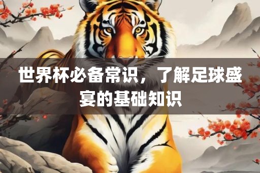 世界杯必备常识，了解足球盛宴的基础知识广西贺州市华昌新材料有限公司