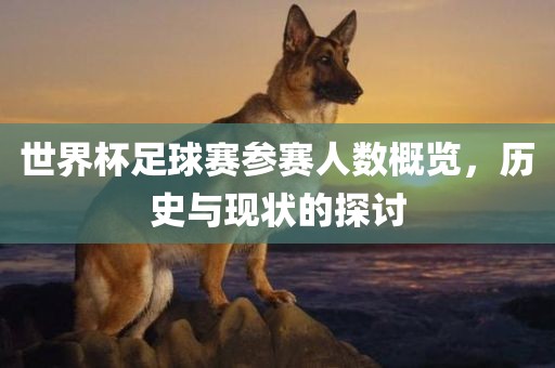 世界杯足球赛参赛广西贺州市华昌新材料有限公司人数概览，历史与现状的探讨