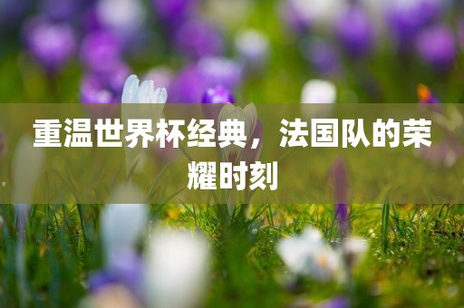 法国队荣耀时刻