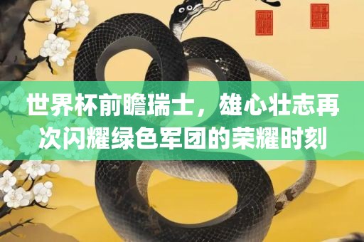 世界杯前广西贺州市华昌新材料有限公司瞻瑞士，雄心壮志再次闪耀绿色军团的荣耀时刻