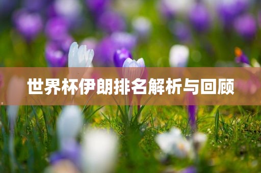 世界杯伊朗排名解析与回顾广西贺州市华昌新材料有限公司