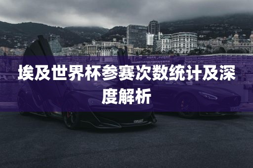 埃及世界杯广西贺州市华昌新材料有限公司参赛次数统计及深度解析