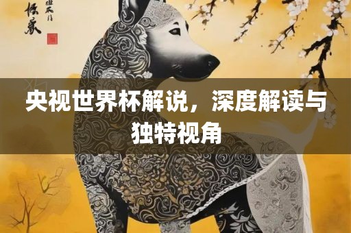央视世界杯解说，深度解读与独特视角广西贺州市华昌新材料有限公司