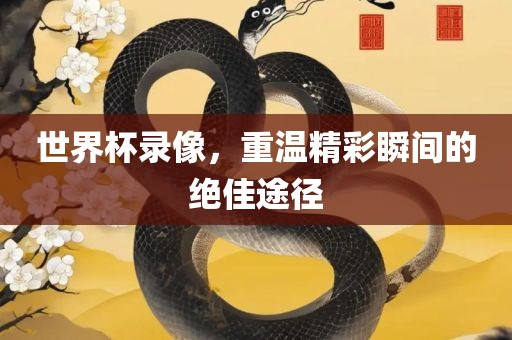 世界杯录像，重温精彩瞬间的绝佳途径