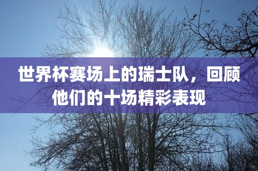 世界杯赛场上的瑞士队，回顾他们的十场精彩表现广西贺州市华昌新材料有限公司