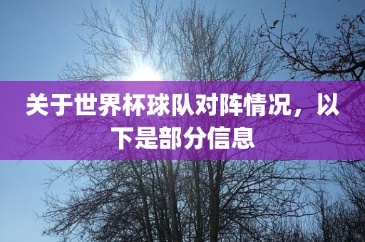 关于世界杯球队对阵情况广西贺州市华昌新材料有限公司，以下是部分信息