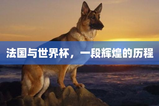 法国与世界杯，一段辉煌的历程