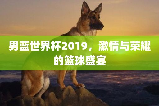 男蓝世界杯2019，激情与荣耀的篮球盛宴