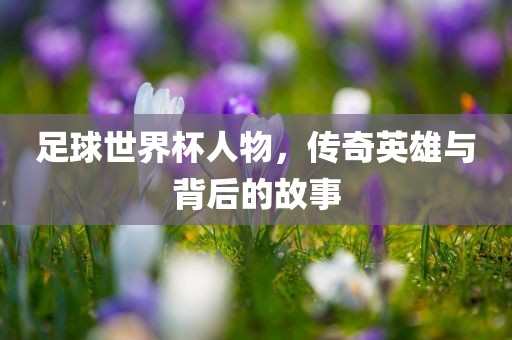 足球世界杯人物，传奇英雄与背后的故事广西贺州市华昌新材料有限公司