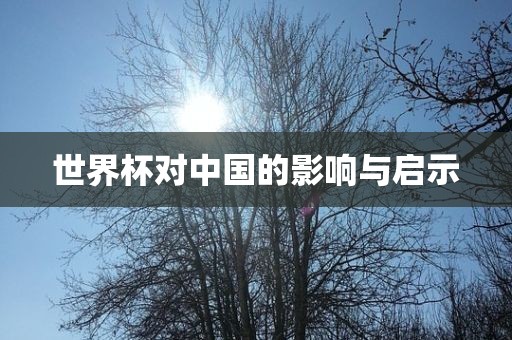 zhenzhi 第3页