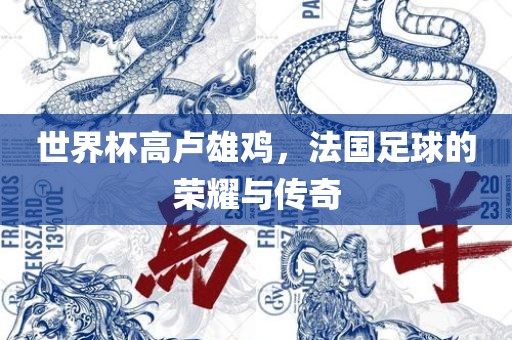 世界杯高卢雄鸡，法国足球的荣耀与传奇广西贺州市华昌新材料有限公司