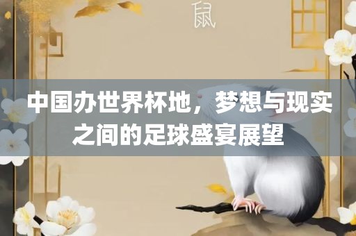 中国办世界杯地，梦想与现实之间的足球盛宴展望广西贺州市华昌新材料有限公司