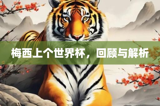 梅西上个世界杯，回顾与解析广西贺州市华昌新材料有限公司