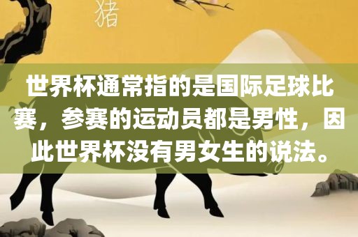 世界杯通常指的是国际足球比赛，参赛的运动员都是男性，因此世界杯没有男女生的说法。广西贺州市华昌新材料有限公司